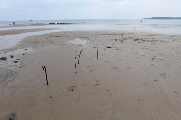 Day cap dien troi len tren bai bien anh 4