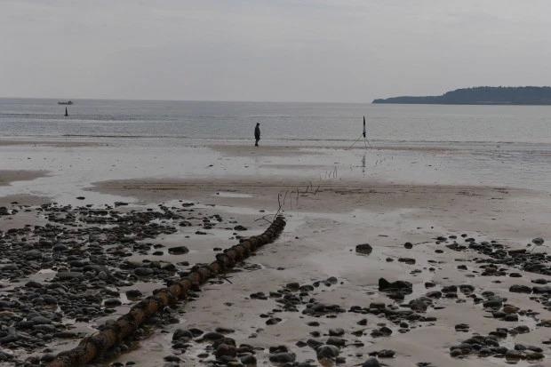 Day cap dien troi len tren bai bien anh 6