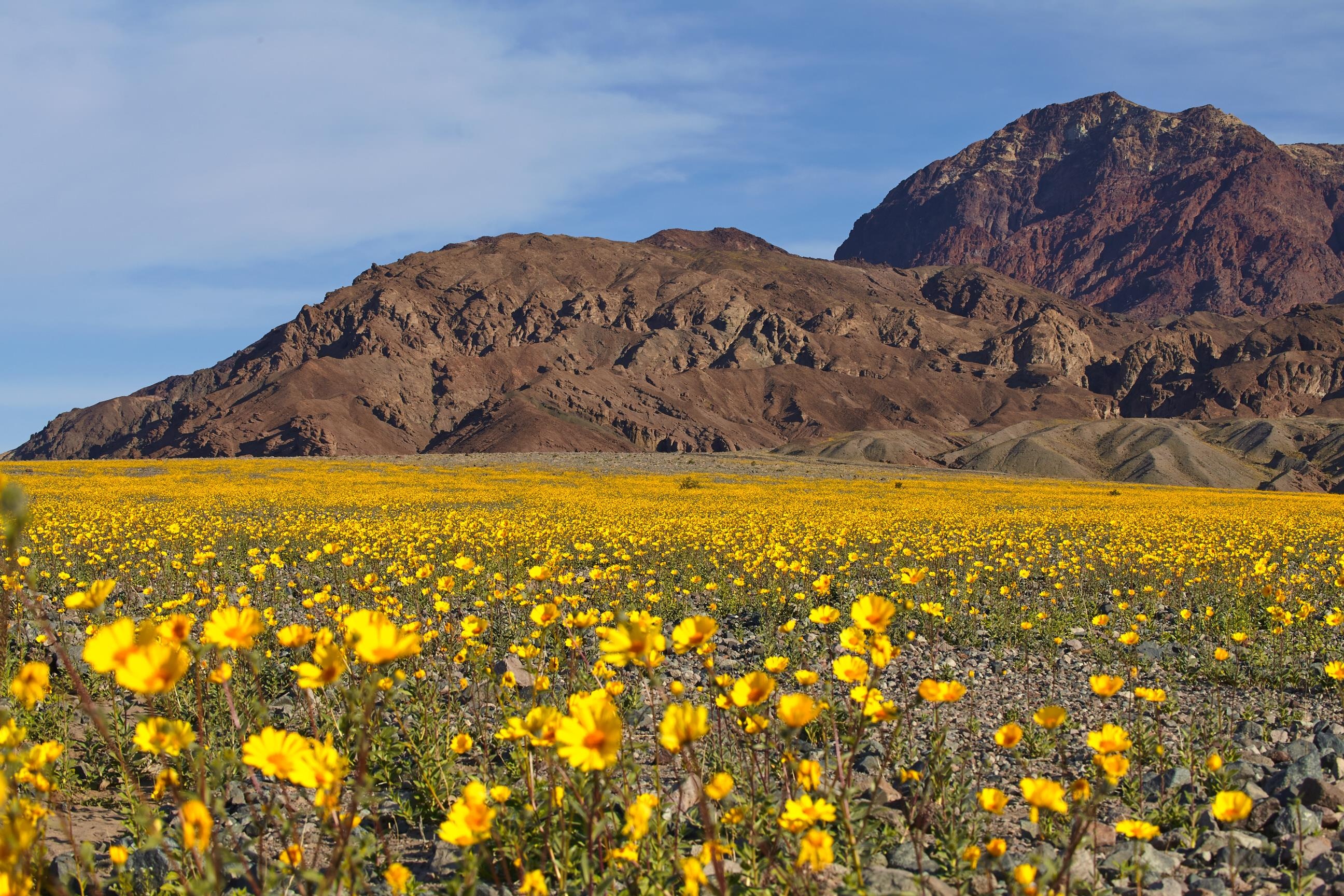 Thung lung tu than anh 3