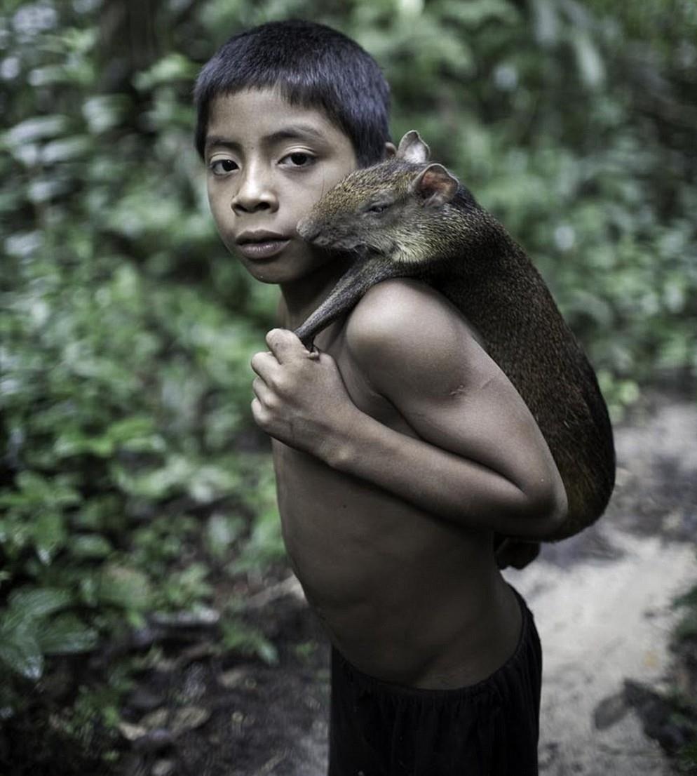 Bo lac cho dong vat bu sua me anh 7