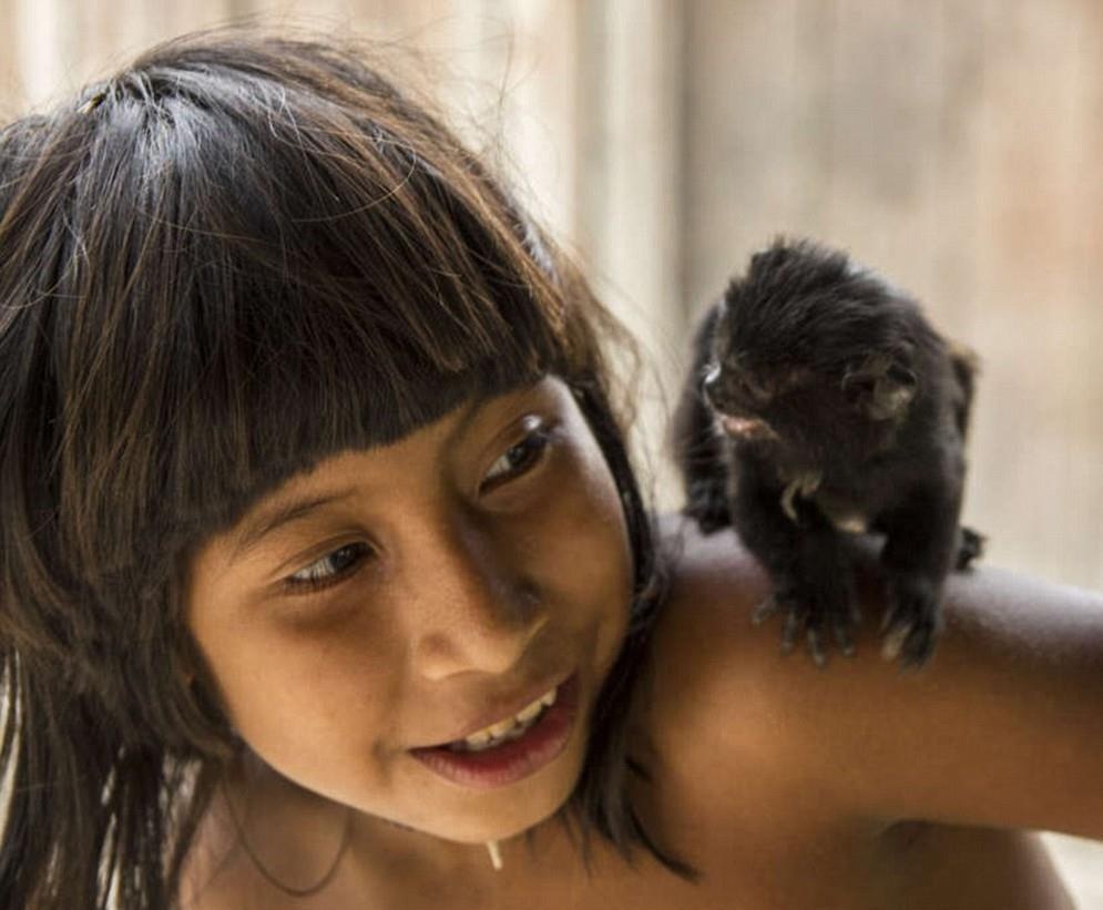 Bo lac cho dong vat bu sua me anh 8