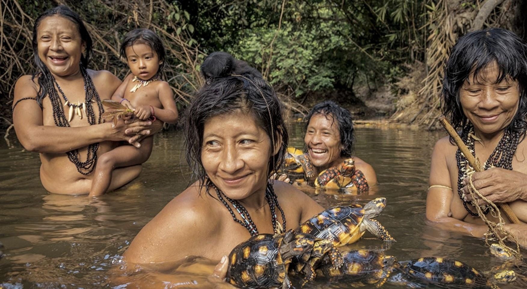 Bo lac cho dong vat bu sua me anh 2