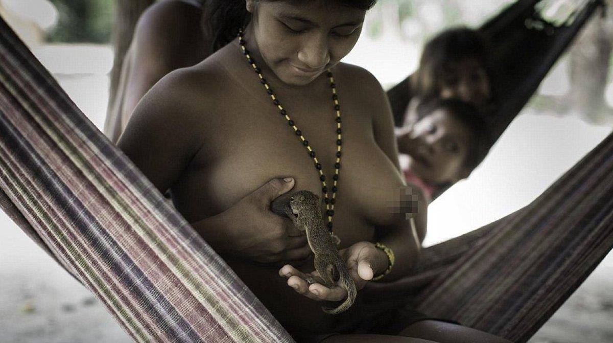 Bo lac cho dong vat bu sua me anh 6