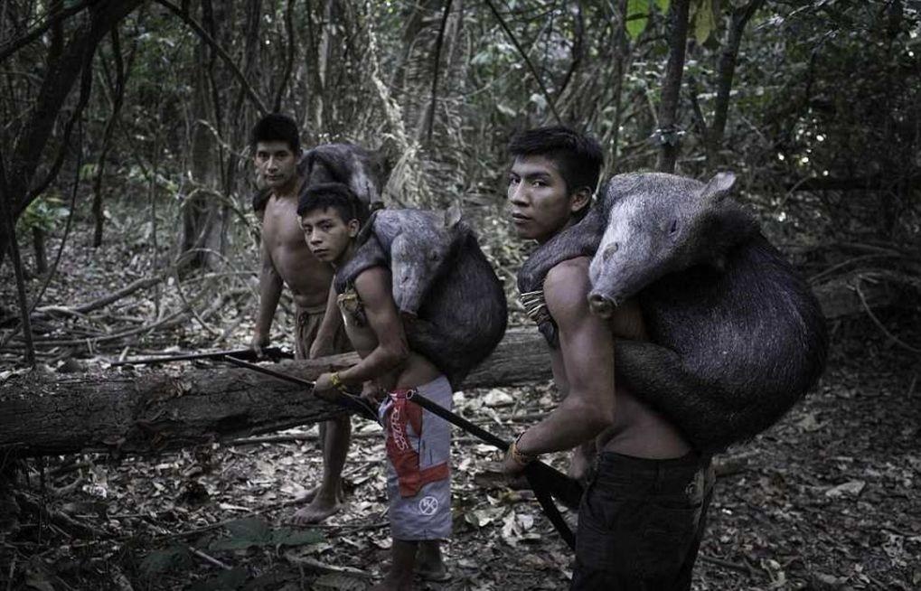 Bo lac cho dong vat bu sua me anh 4