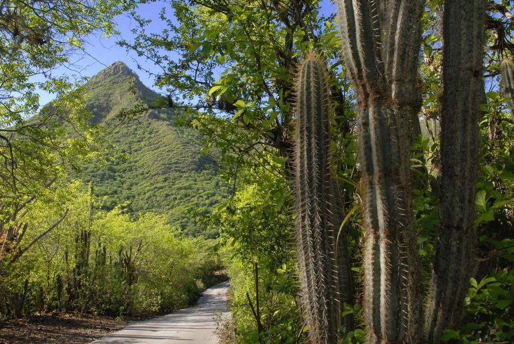 Du lich Curacao anh 2