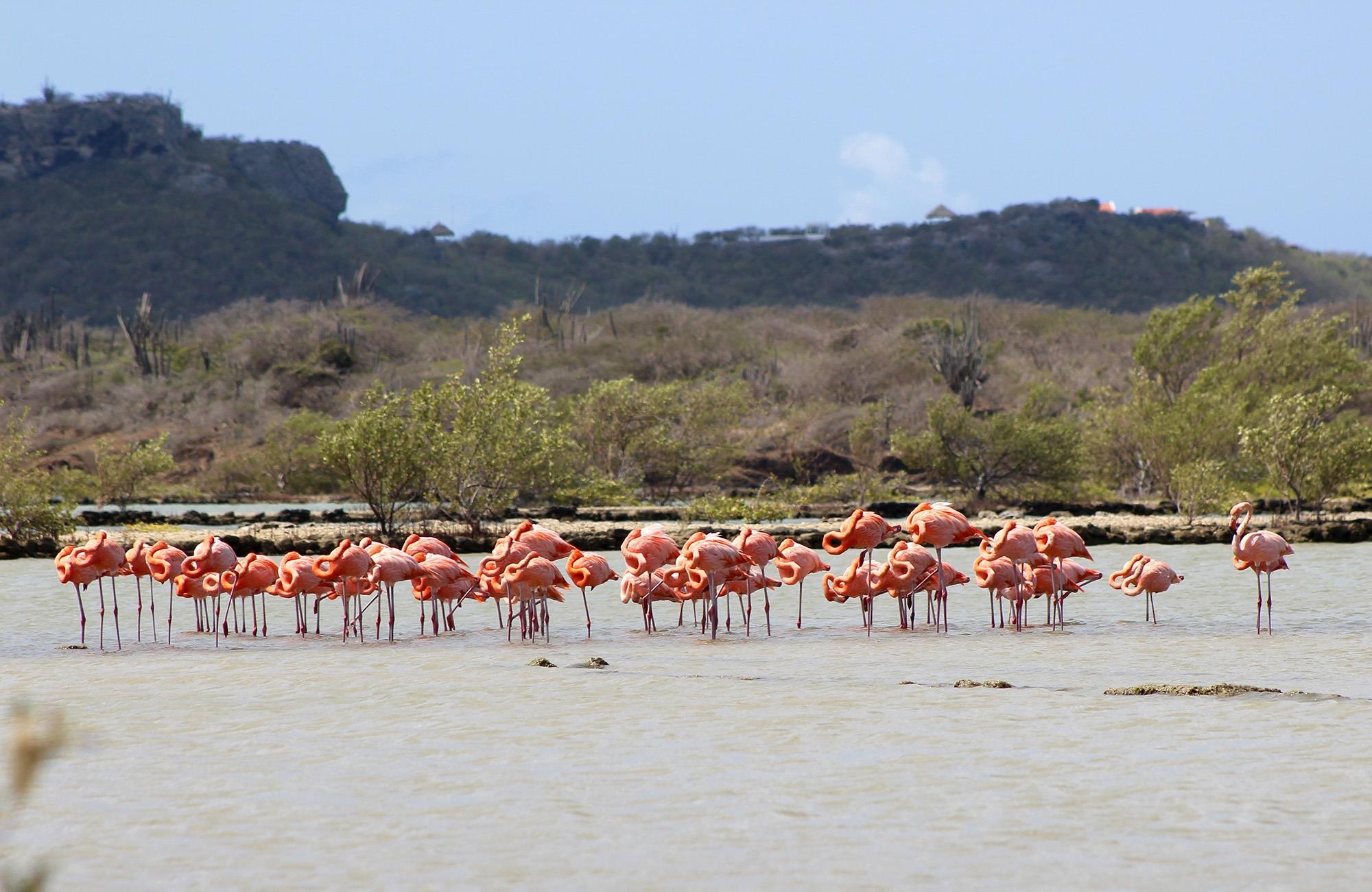 Du lich Curacao anh 4