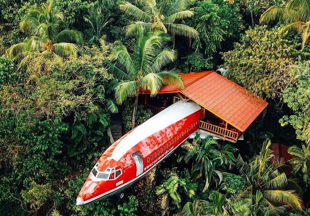 Thuc giac giua rung tren chuyen bay khong bao gio khoi hanh hinh anh