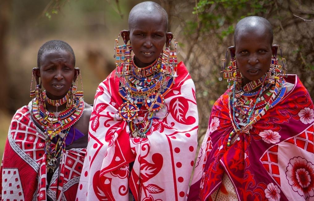 Bo lac tai dai anh 6