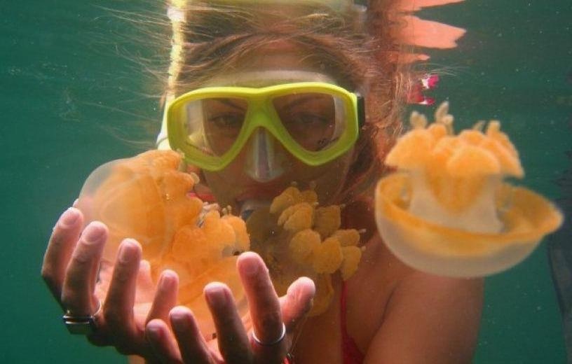 Ngam minh duoi ho nuoc chua hon 600.000 con sua hinh anh