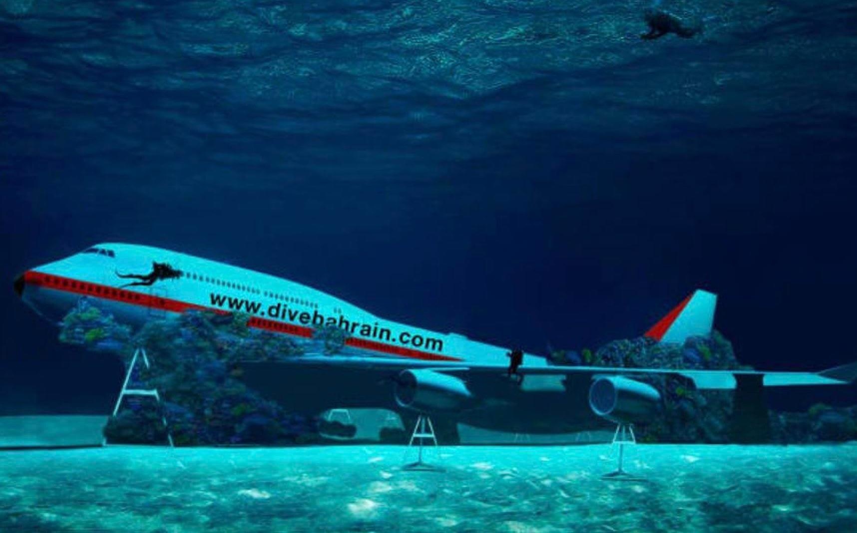 May bay chim duoi bien tai cong vien nuoc lon nhat the gioi hinh anh