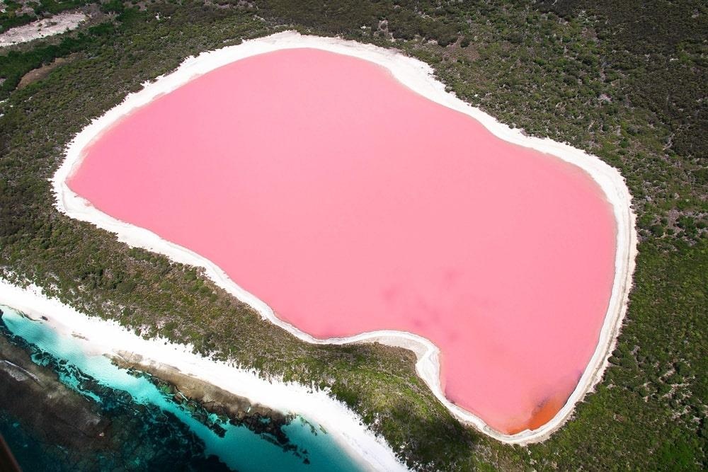 Ngam ho nuoc mau sinh to dau tay la thuong o Australia hinh anh