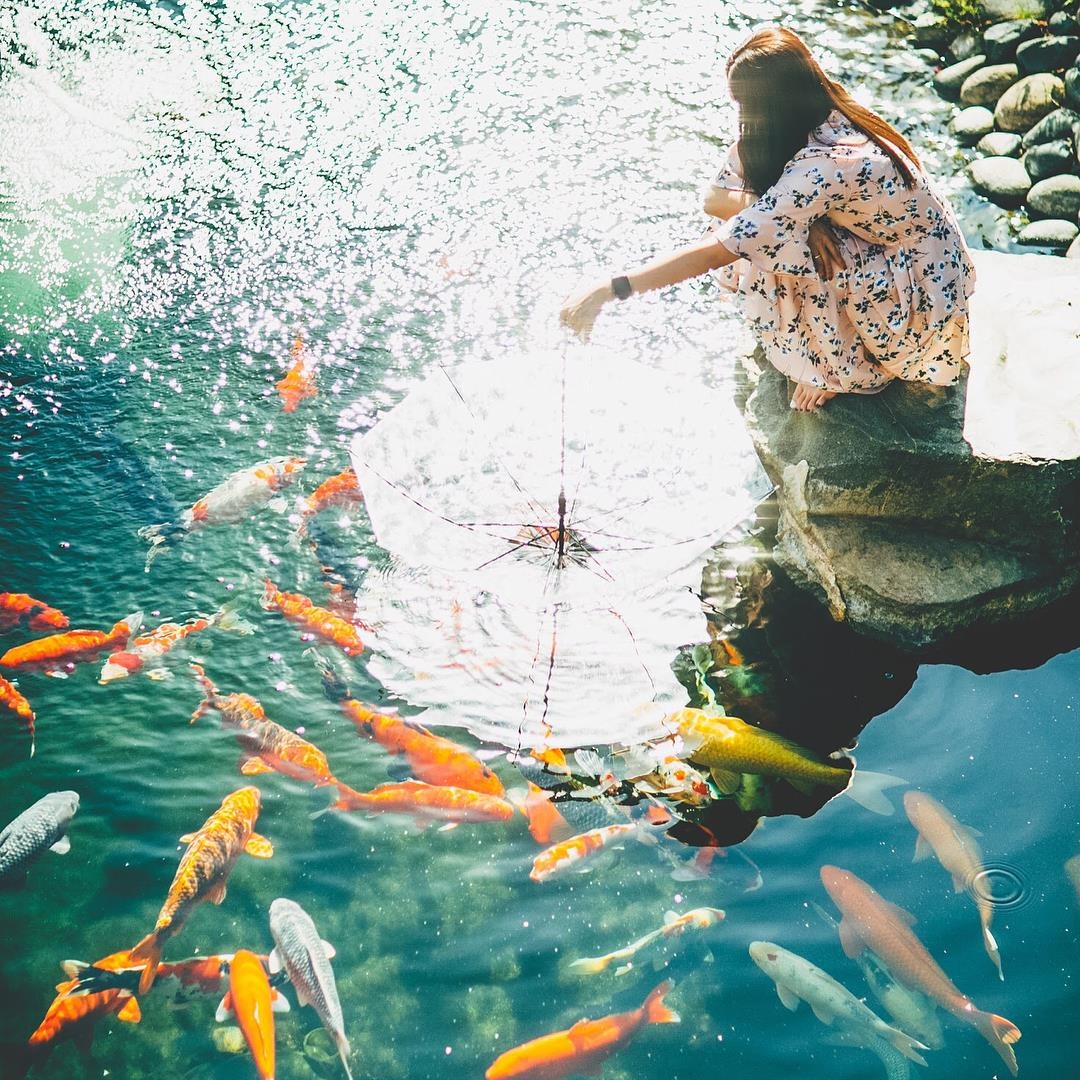 Du lich Da Lat anh 7