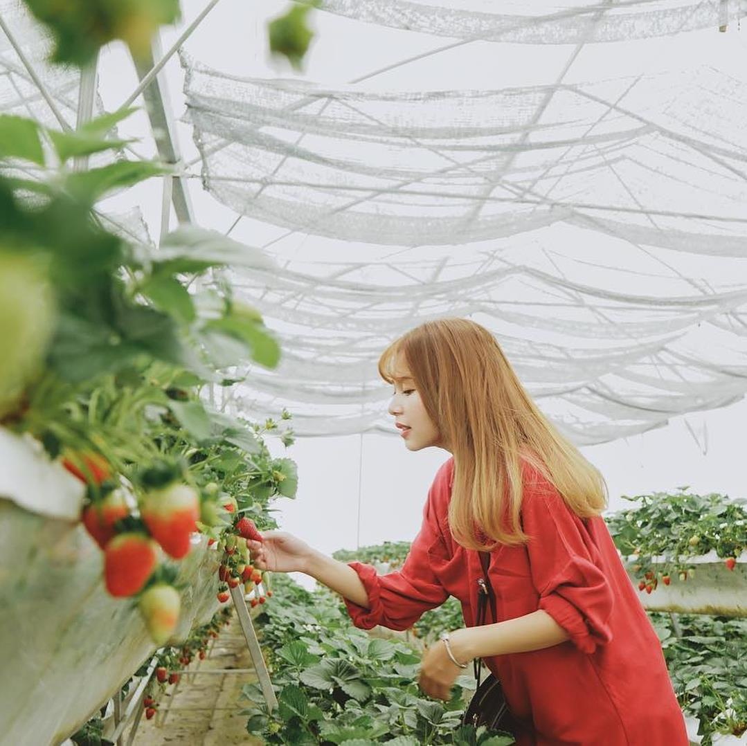 Du lich Da Lat anh 4