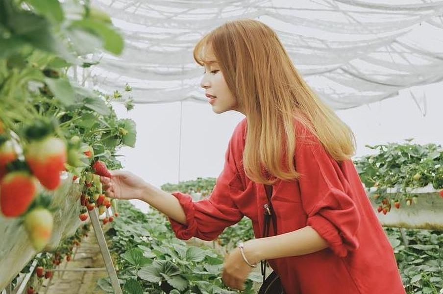 8 ly do de den ngay thanh pho khong dieu hoa Da Lat mua he nay hinh anh