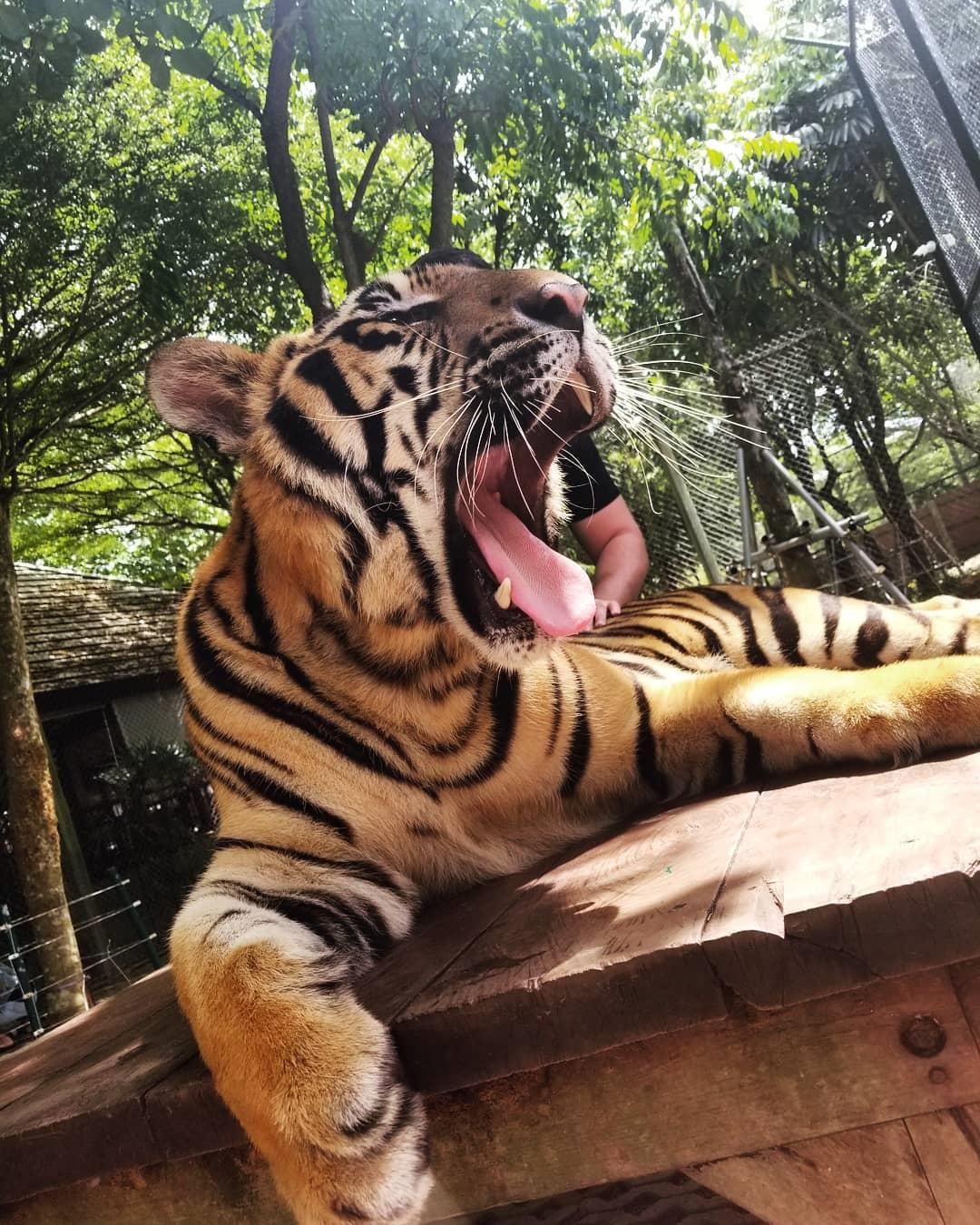 Du lich Thai Lan anh 11