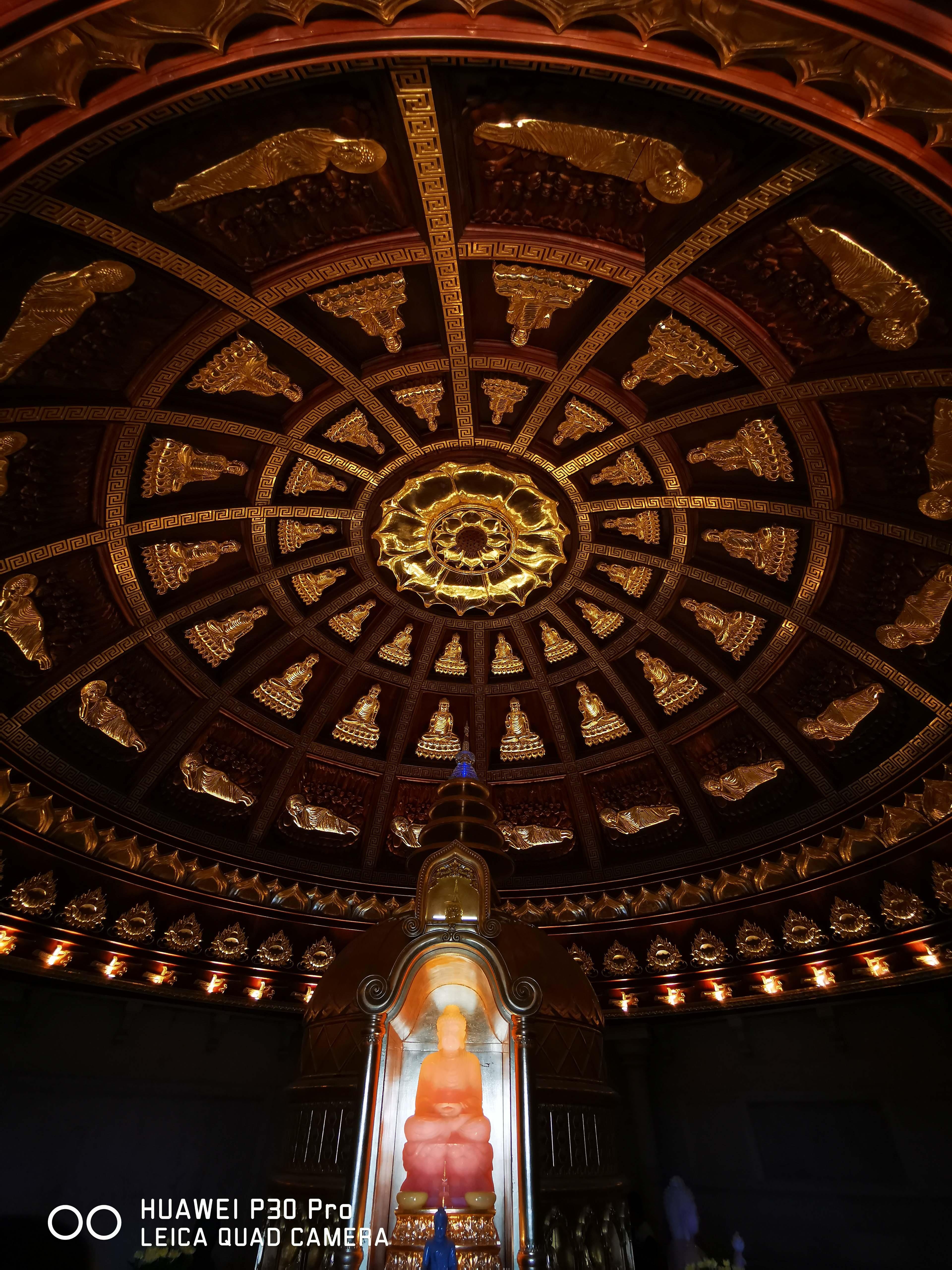 Picture-Perfect anh 10