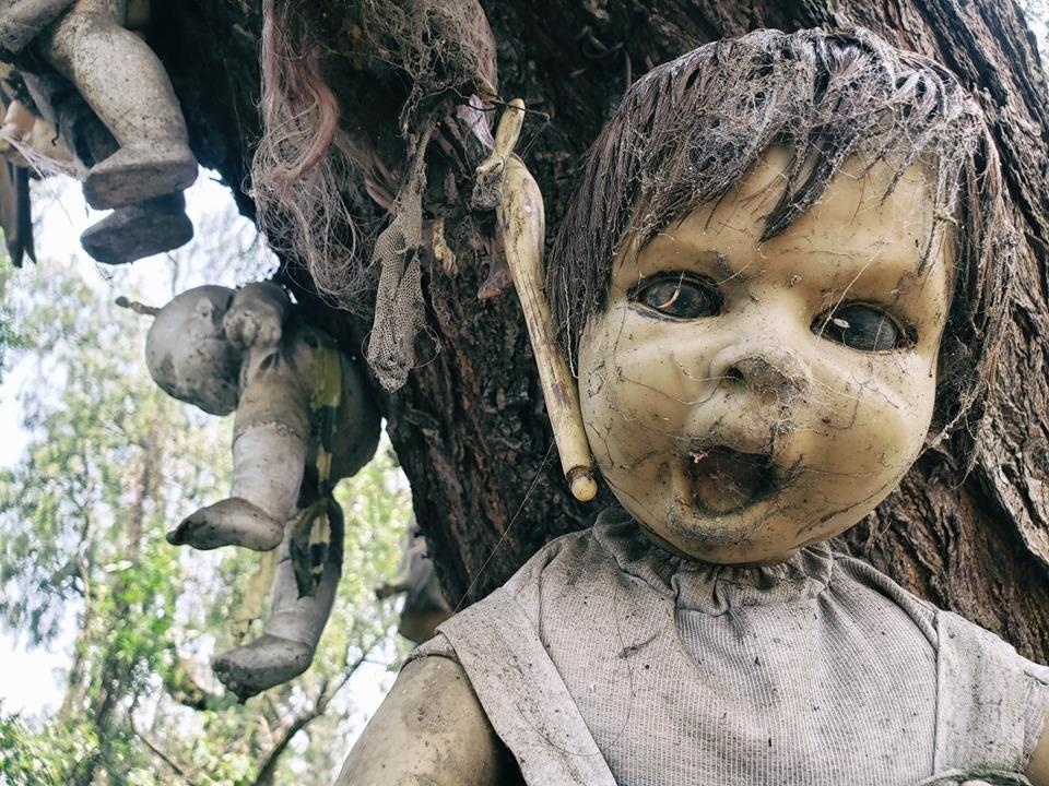 Hon dao ma am anh 20