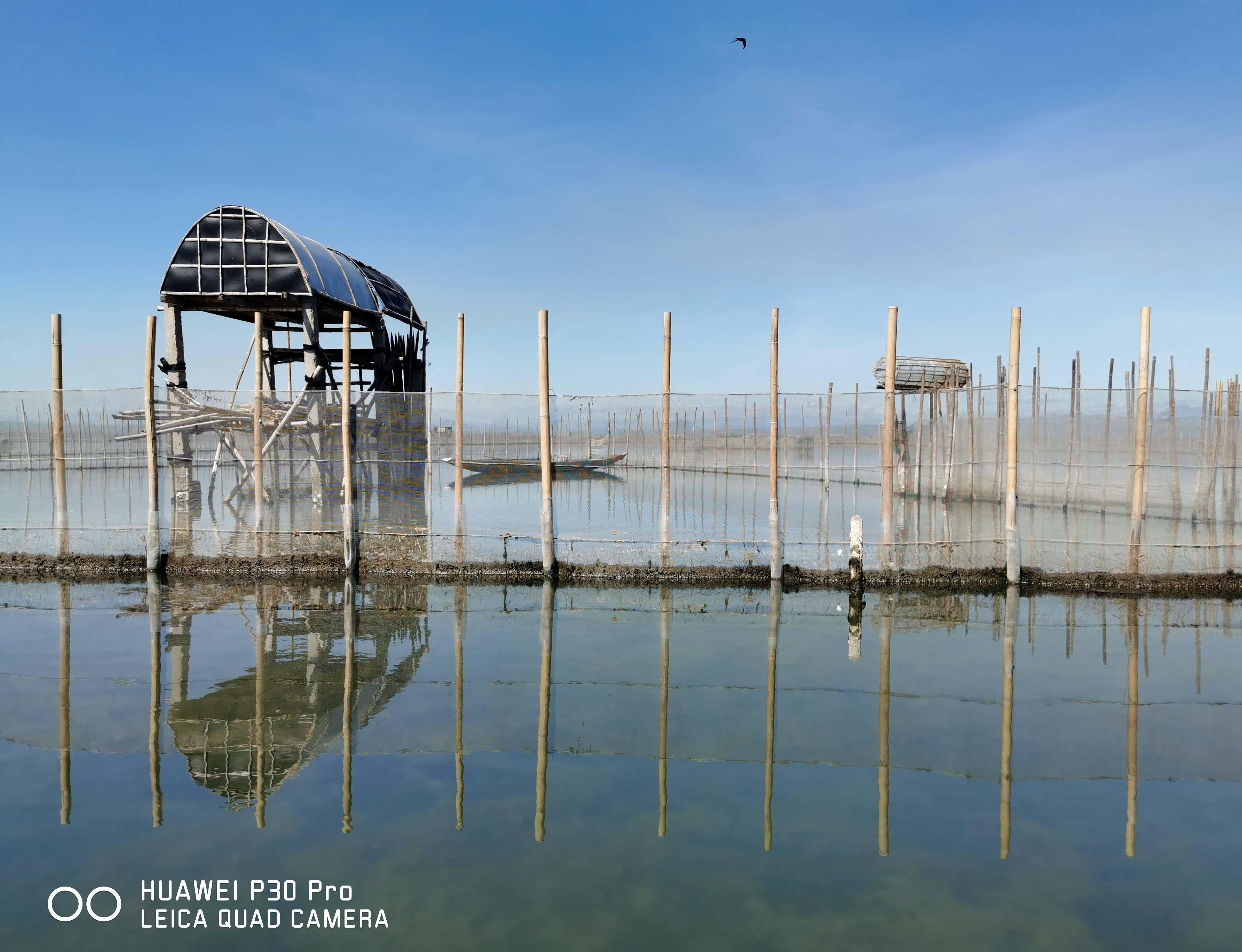 Picture-Perfect anh 24