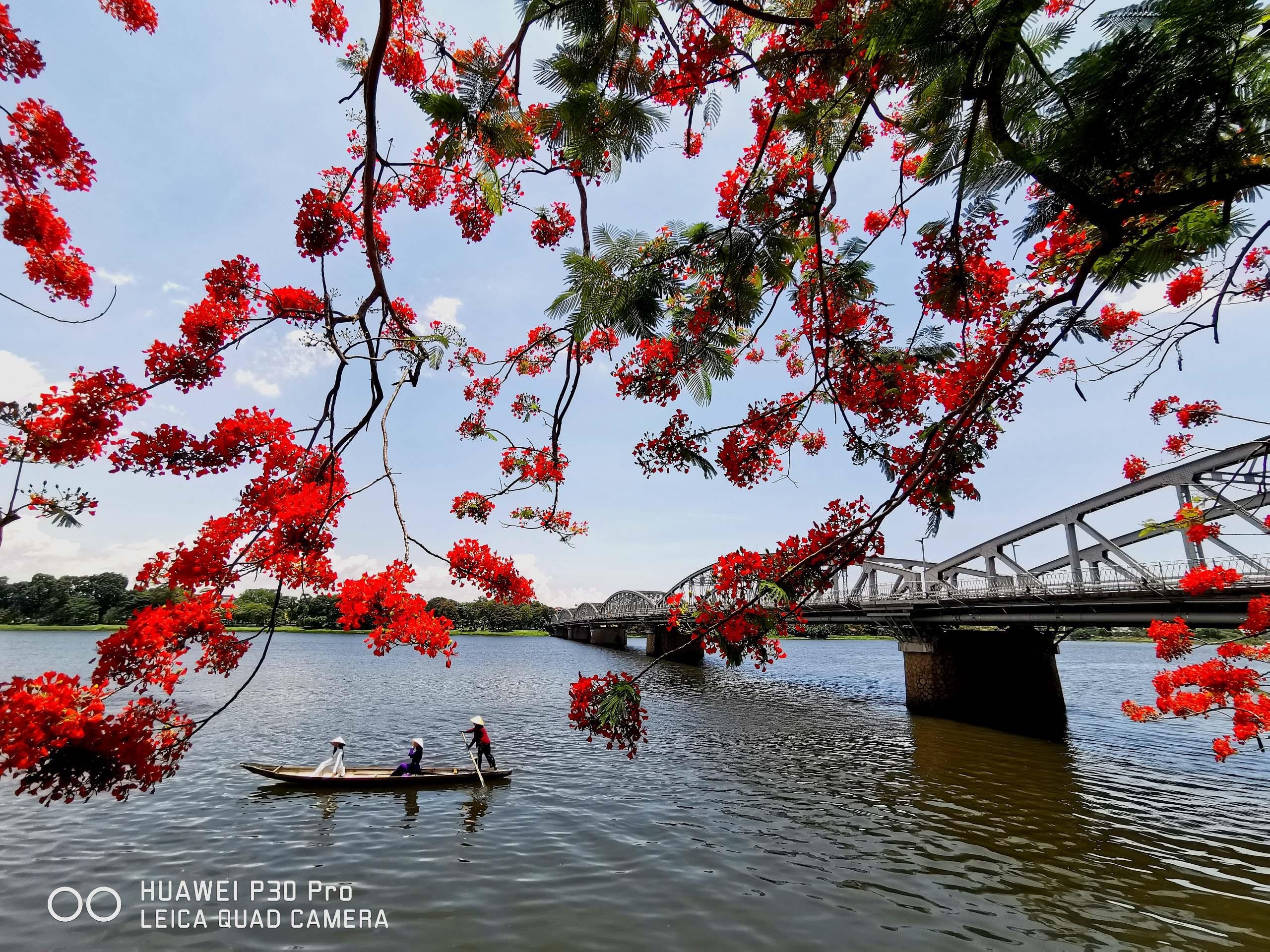 Picture-Perfect anh 14