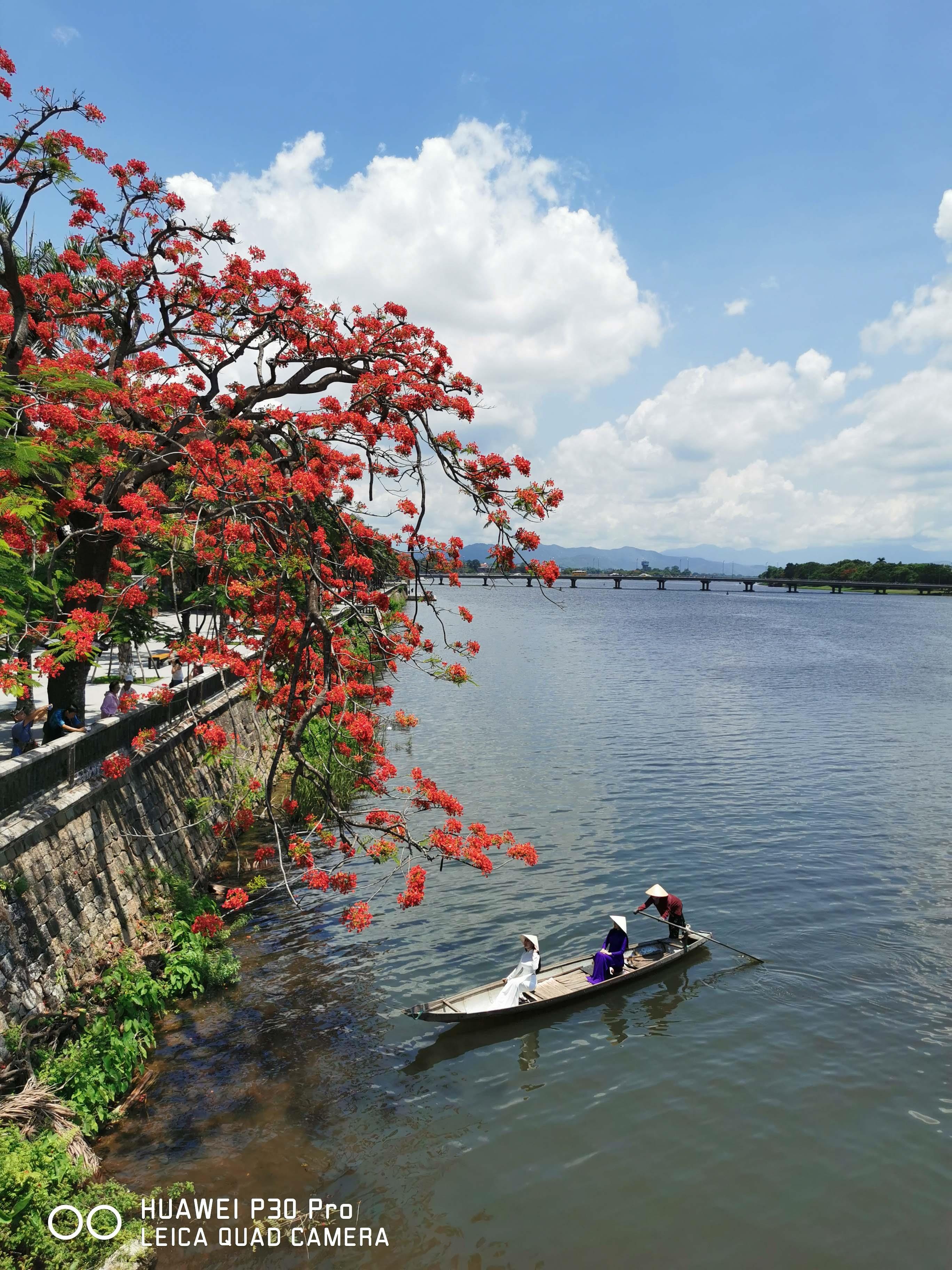 Picture-Perfect anh 16