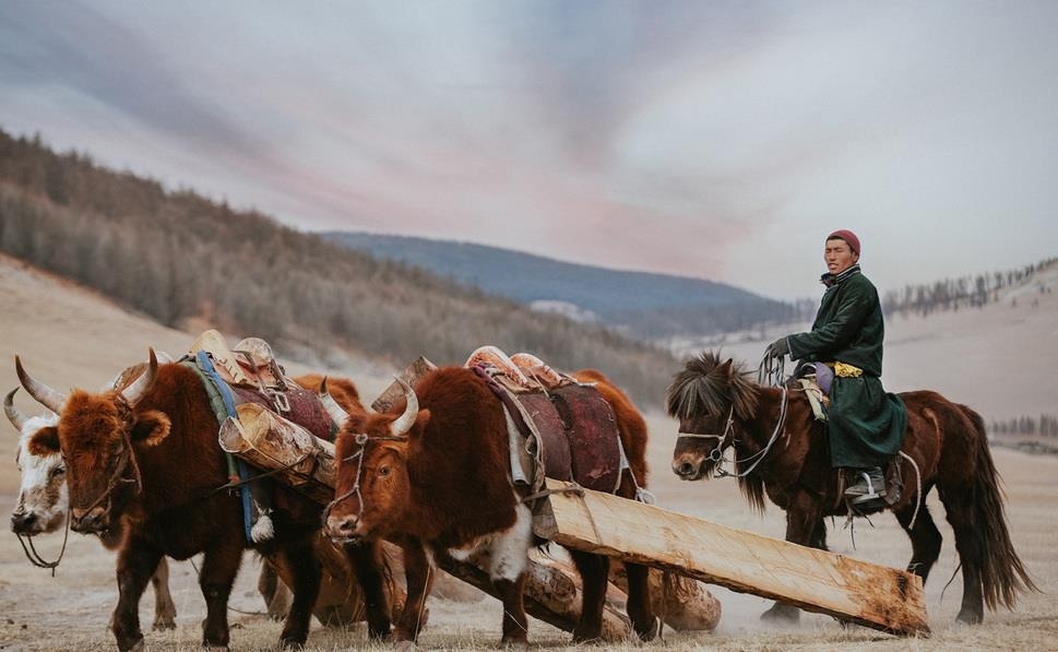 Du lich Mong Co anh 7