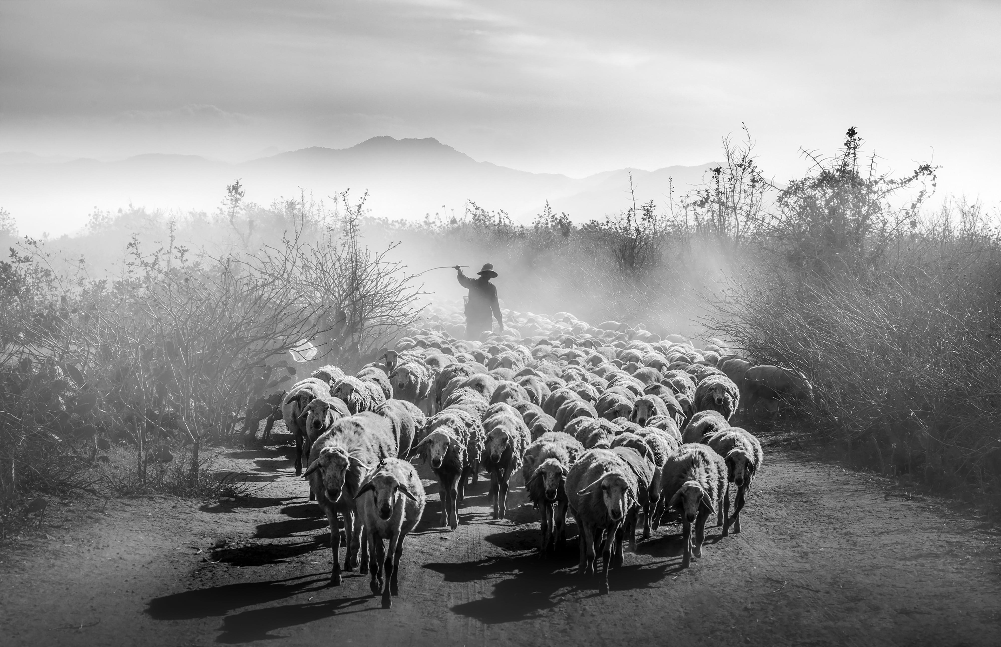 Du lich Viet Nam anh 19