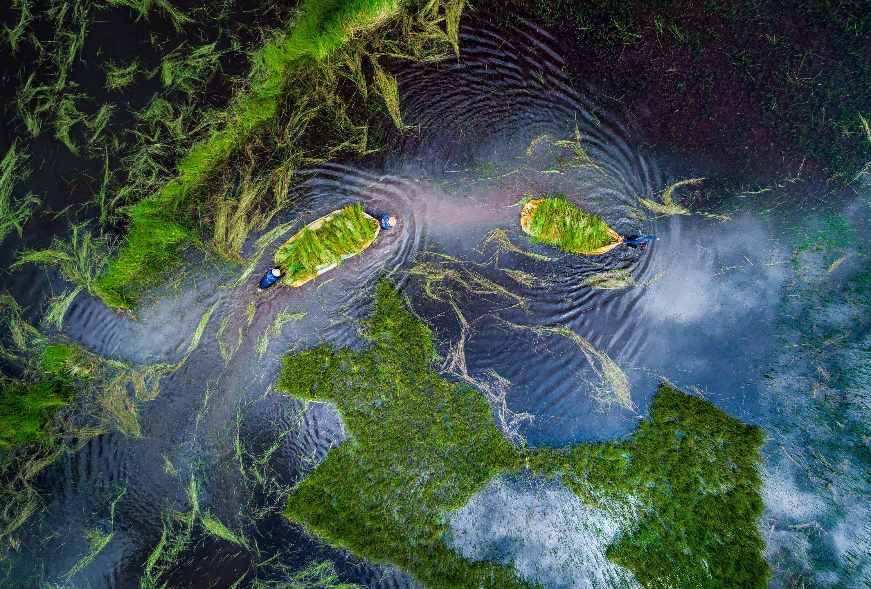 Du lich Viet Nam anh 28