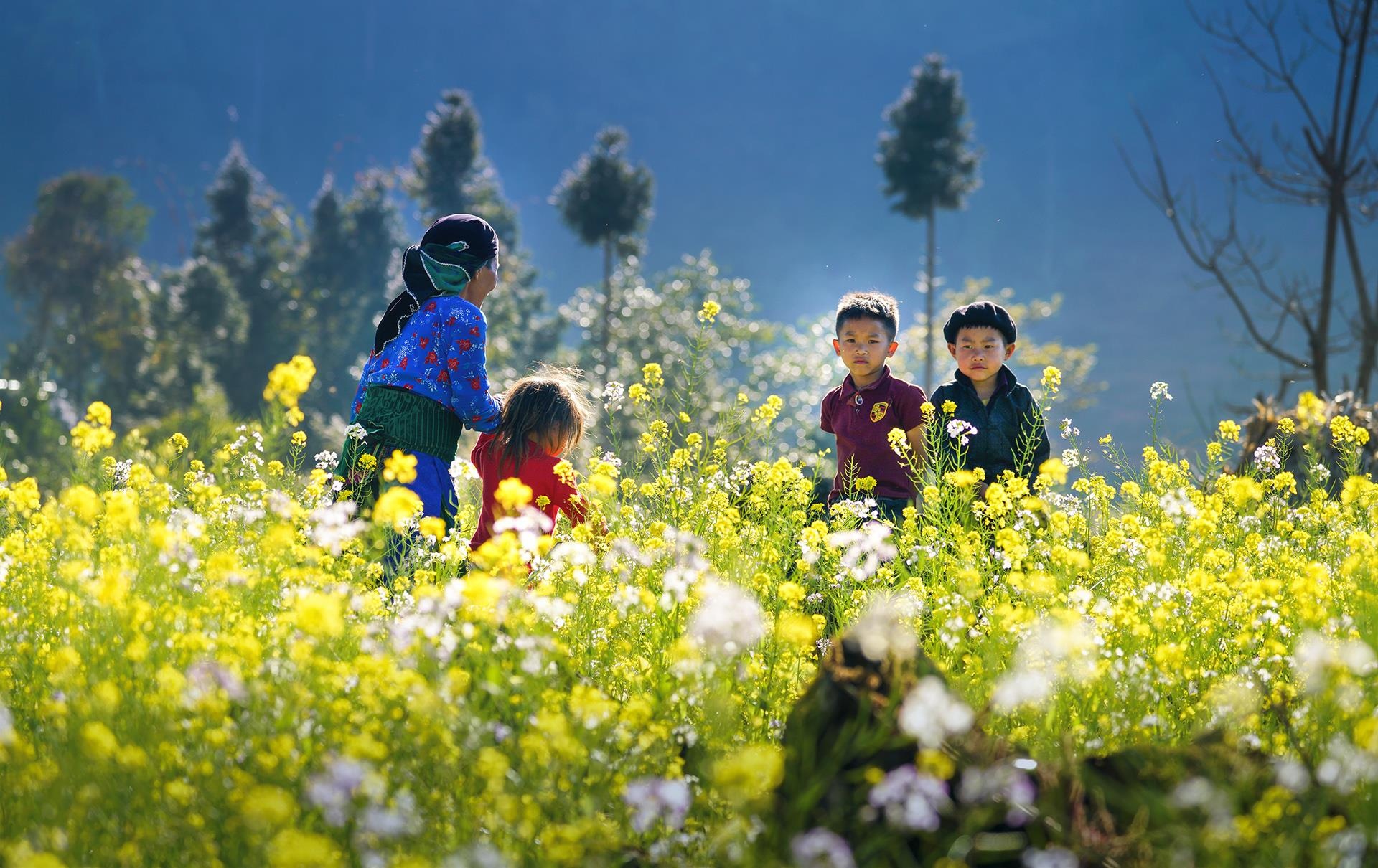 Du lich Viet Nam anh 1