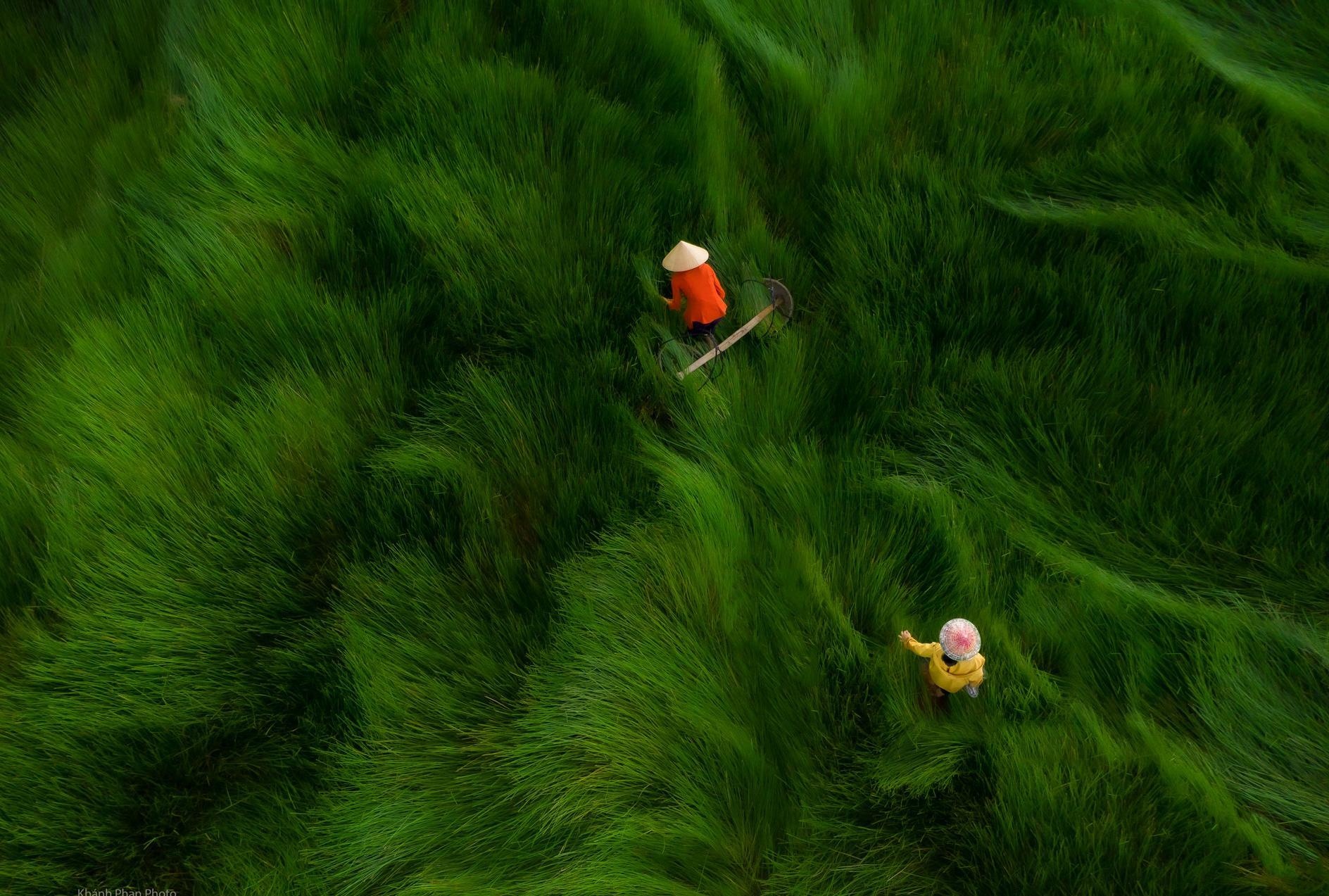 Du lich Viet Nam anh 13