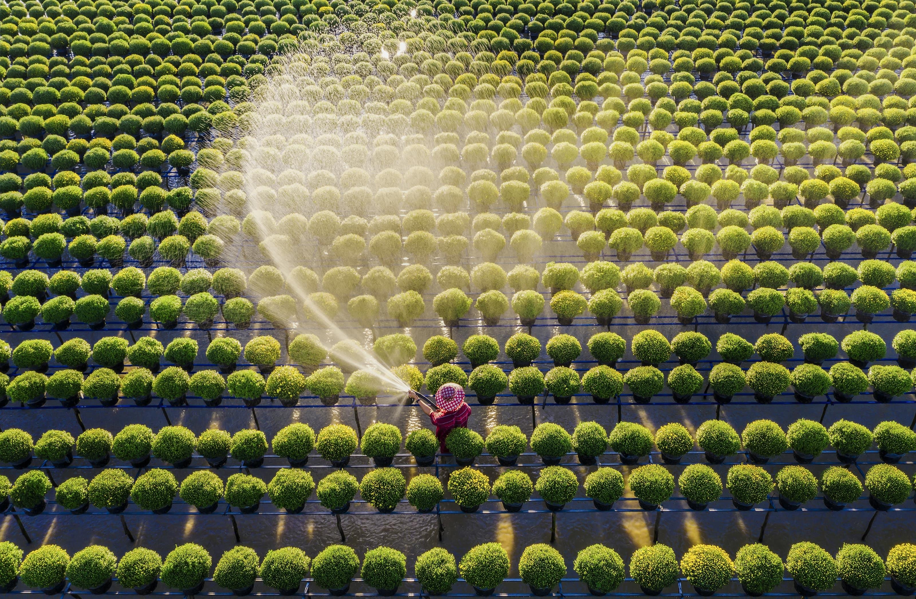 Du lich Viet Nam anh 30