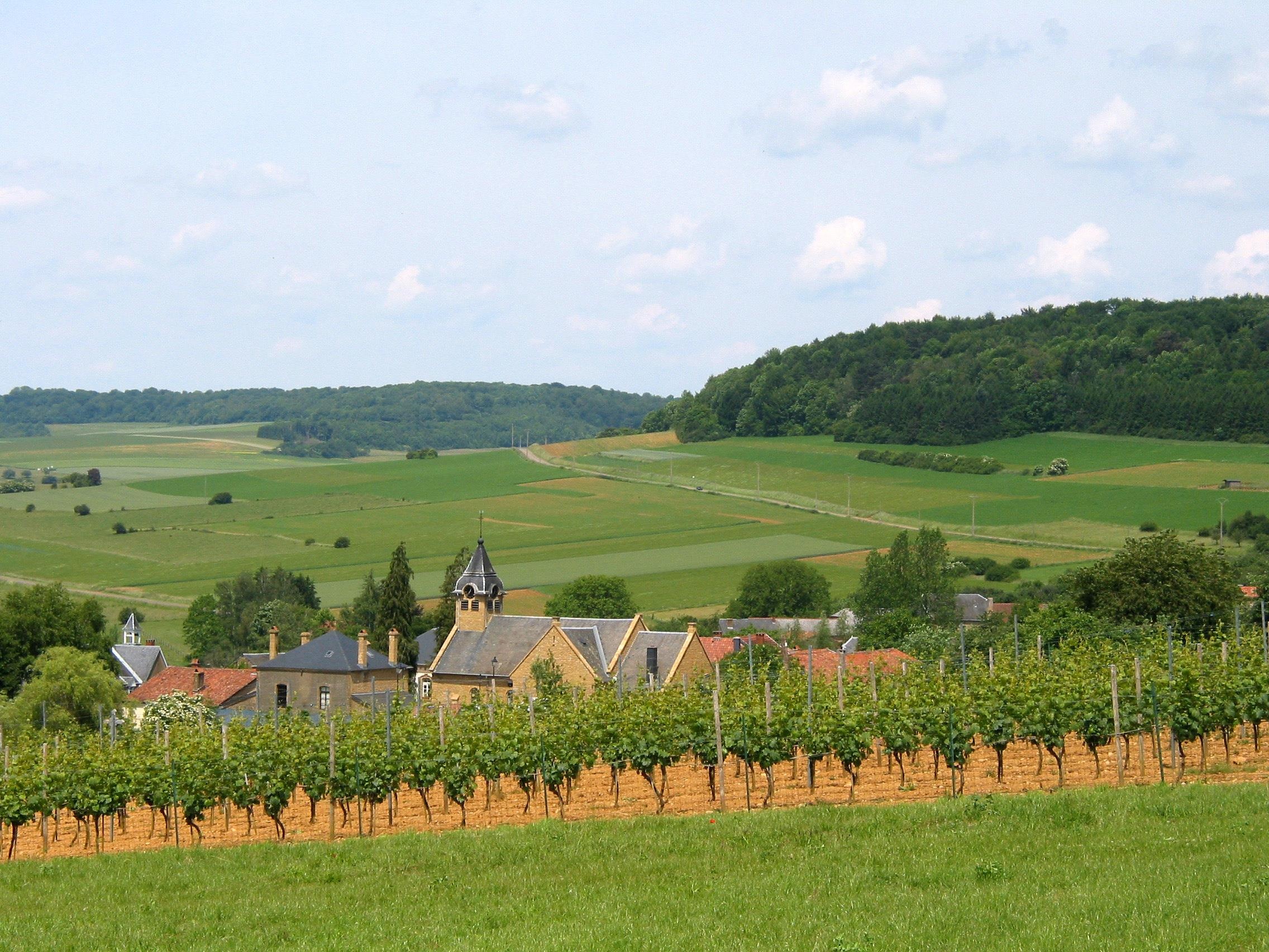 Chau Au nang nong anh 8