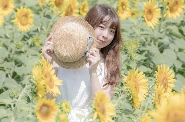 Thang 8, len duong ngam hoa mat troi, du le Vu lan lon nhat Nhat Ban hinh anh
