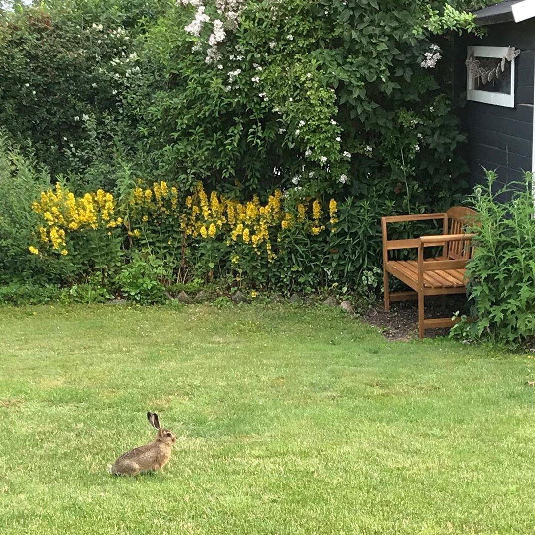 Du lich Dan Mach anh 11