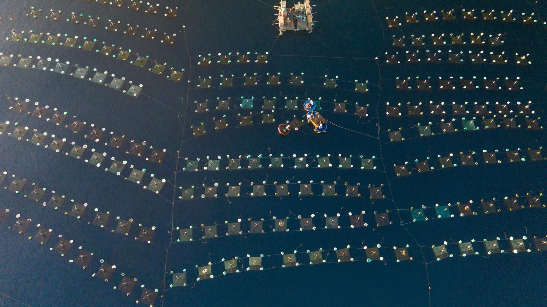 Du lich Phu Yen anh 2