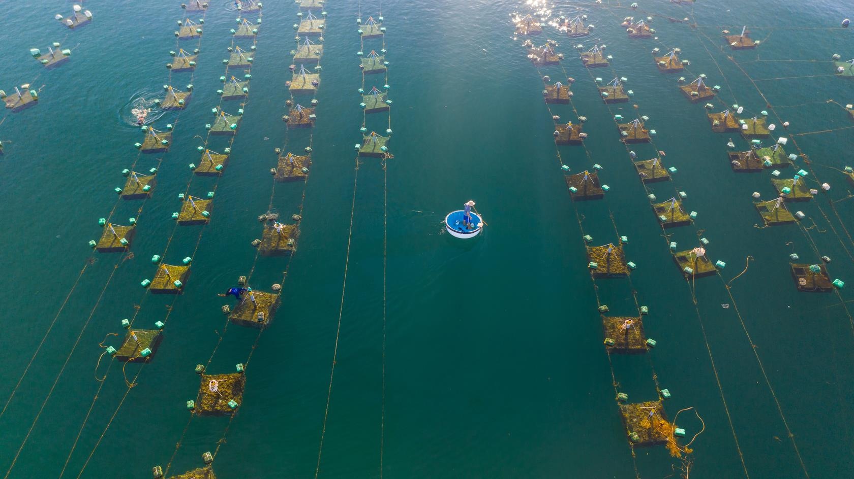 Du lich Phu Yen anh 4