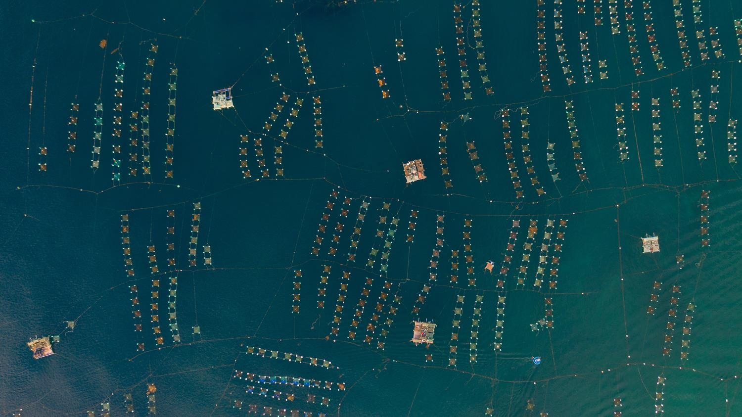 Du lich Phu Yen anh 3