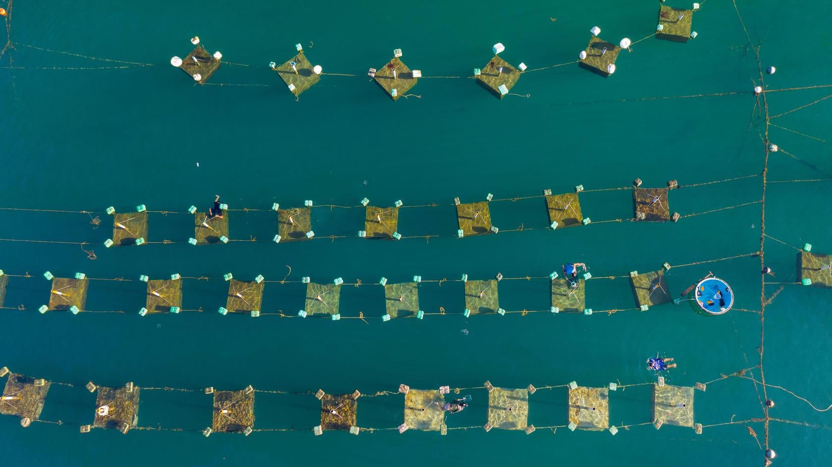 Du lich Phu Yen anh 5