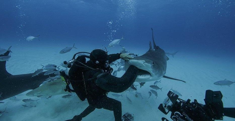 do lan chong ca map anh 3