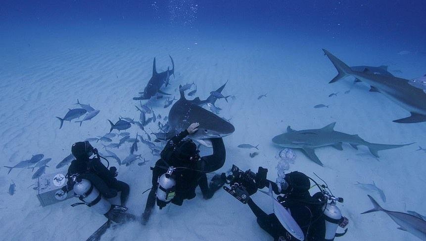 do lan chong ca map anh 4