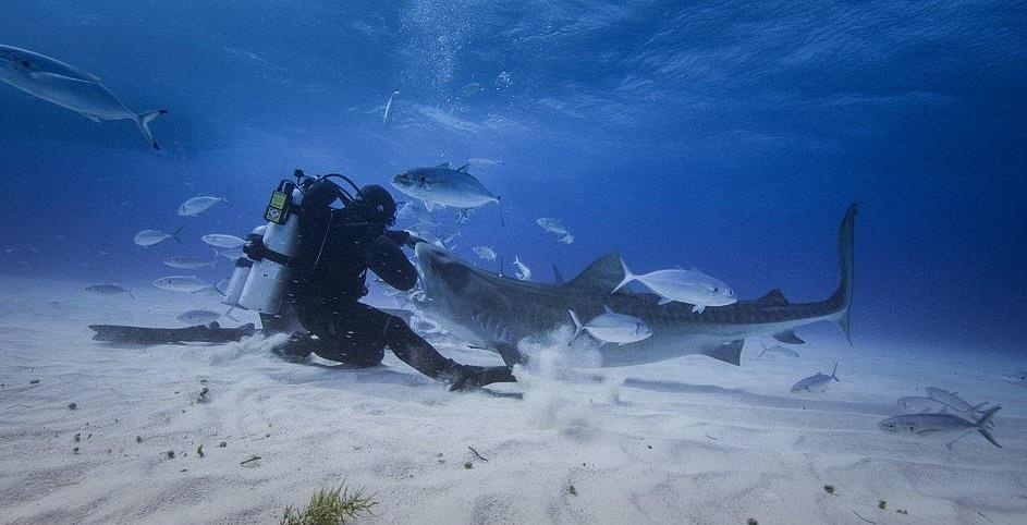 do lan chong ca map anh 5