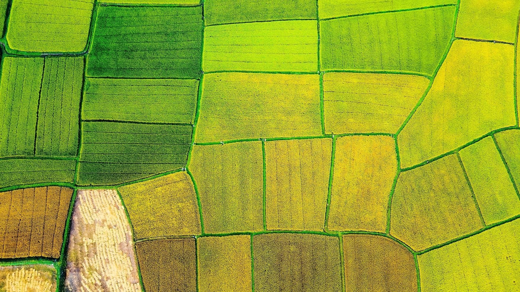 Song Tra Quang Ngai anh 5