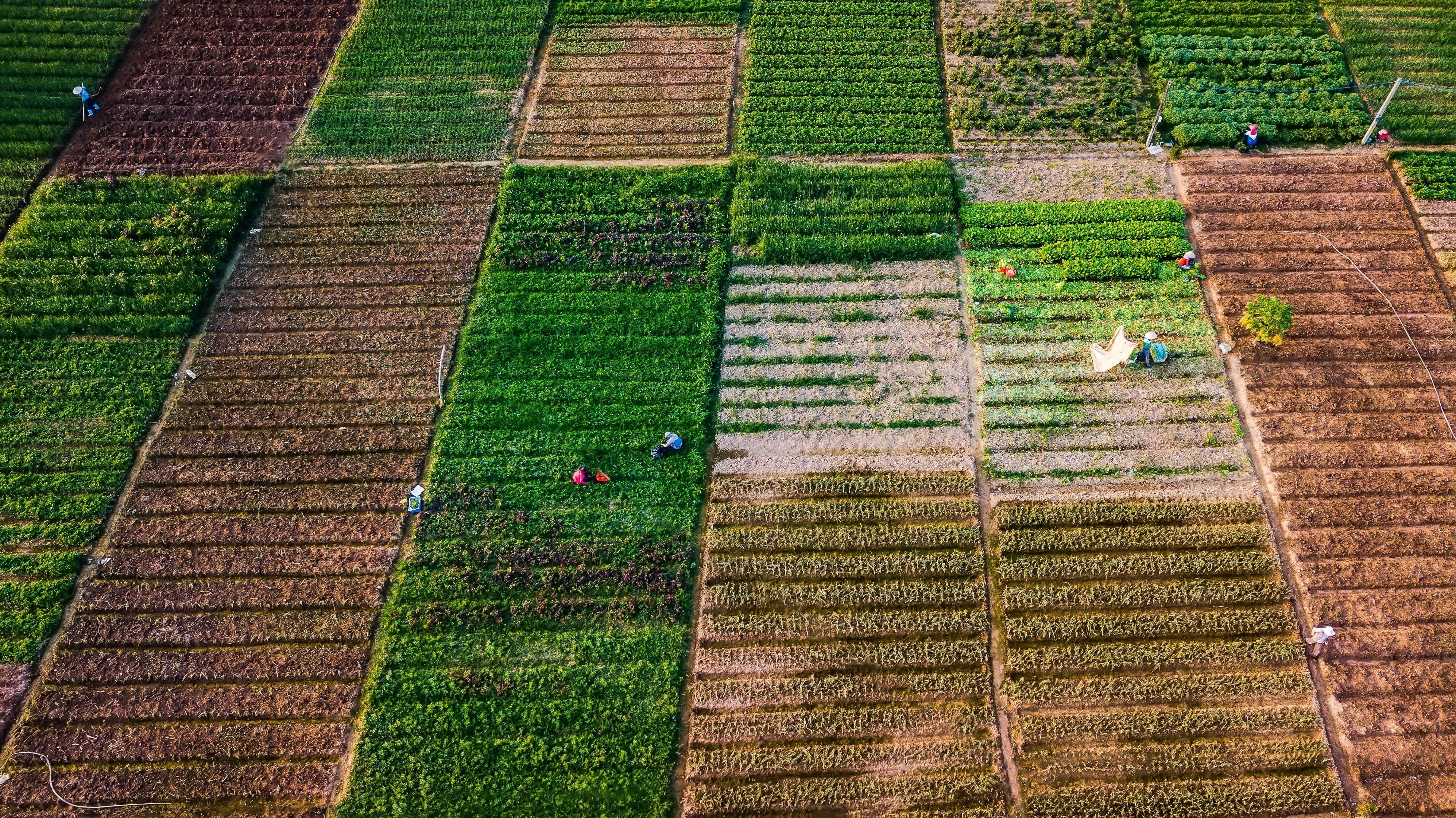 Song Tra Quang Ngai anh 2