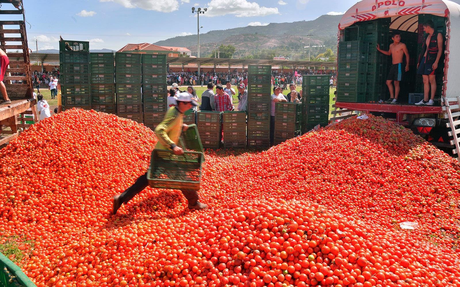 Le hoi nem ca chua anh 2