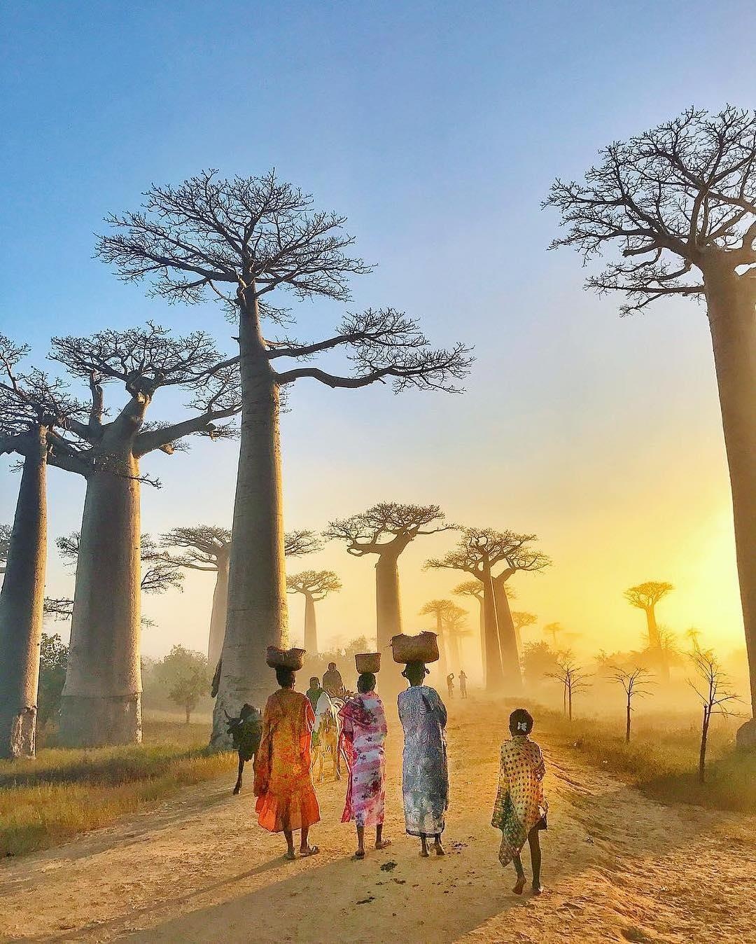 Du lich chau Phi anh 3