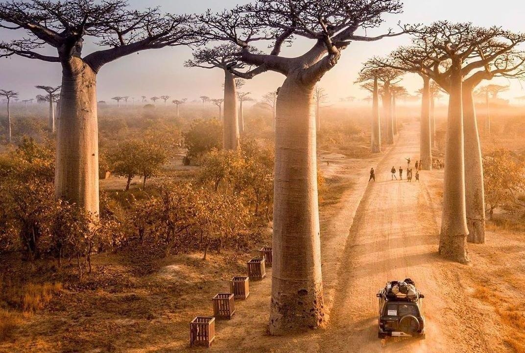 Ky la dai lo 'cay lon nguoc' nhu duong dan toi hanh tinh khac hinh anh