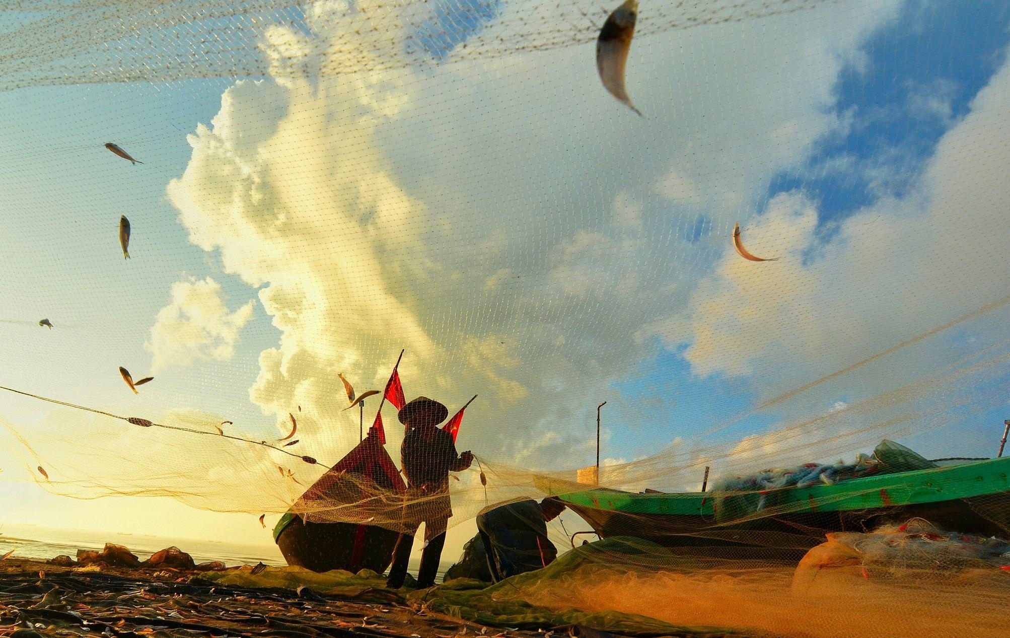 Nha tho do Nam Dinh anh 6