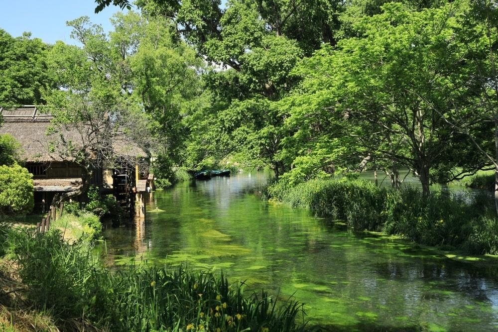 Du lich Nhat Ban anh 3