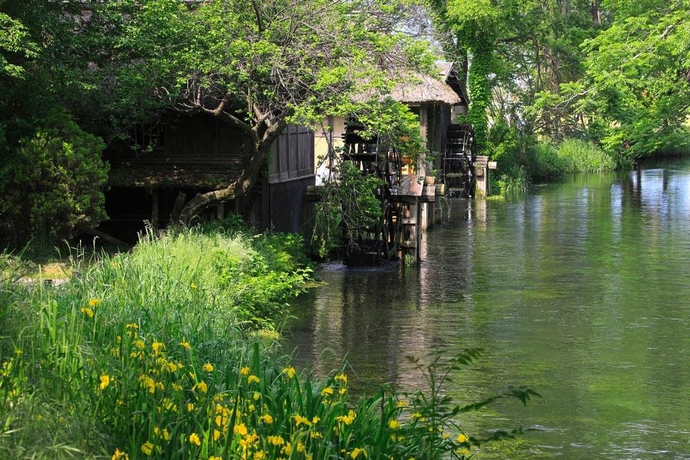 Du lich Nhat Ban anh 4