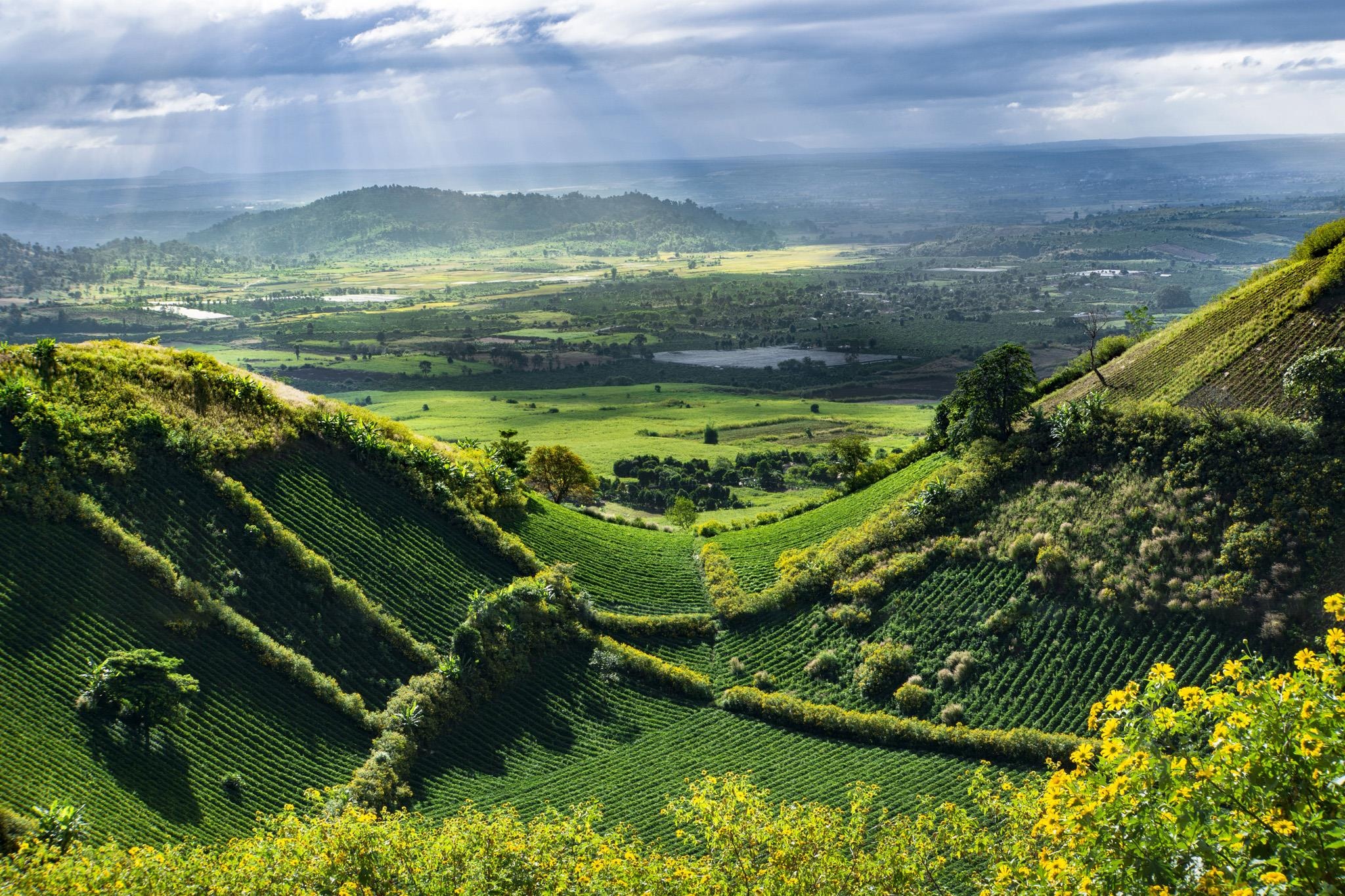 Canh dep Gia Lai anh 16