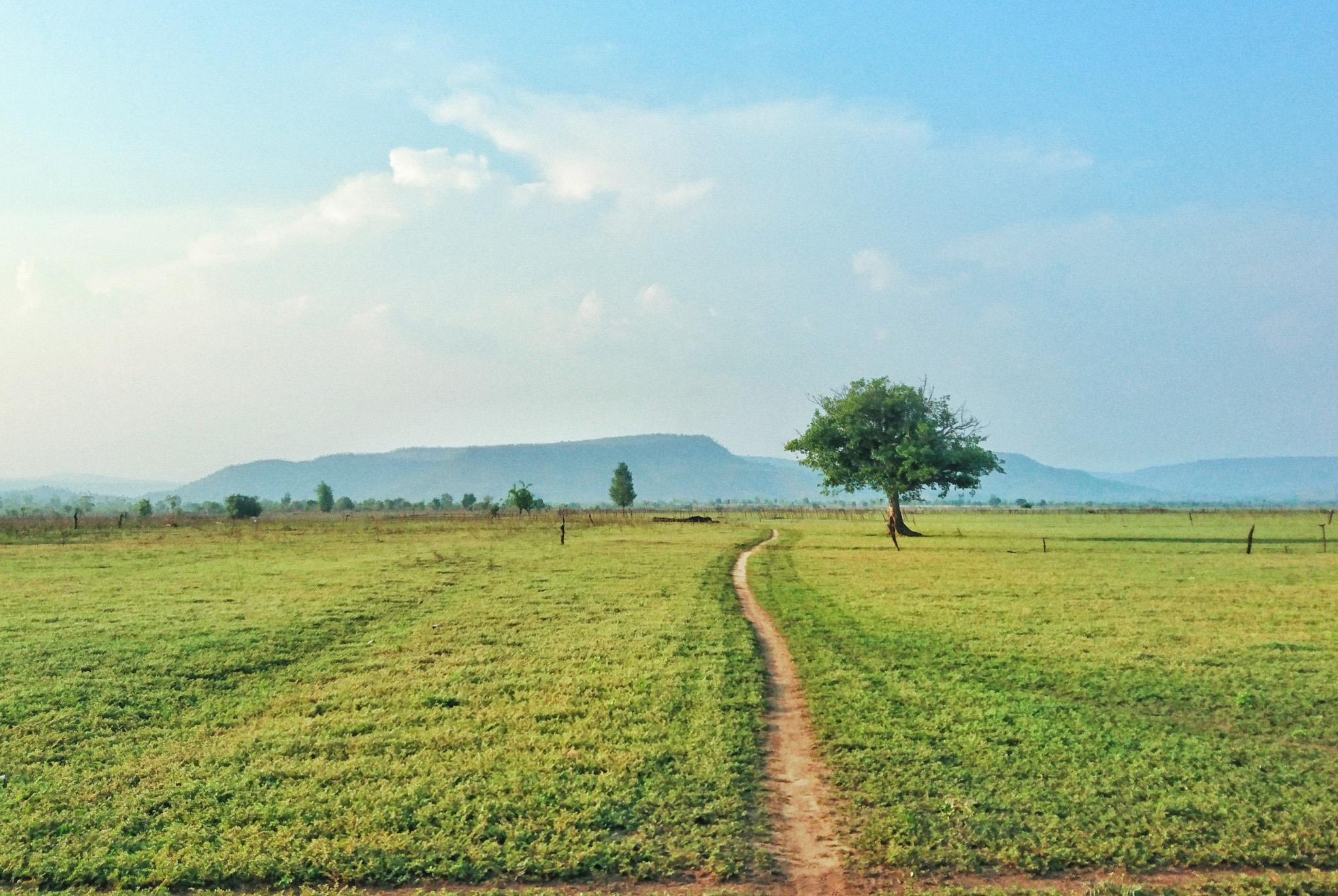 Canh dep Gia Lai anh 24